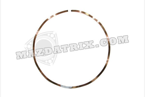 Side Oil Seal Spring, 74-95 Front Outer